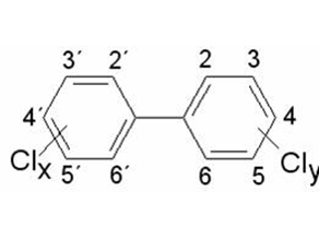 Allgemeine Strukturformeln der polychlorierten Biphenyle (PCB)