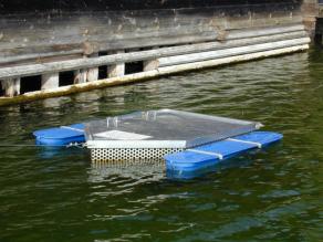 Schwimmender Edelstahl-Käfig, in den Fische eingesetzt werden, um sie unter kontrollierten Bedingungen in einem Gewässer zu exponieren. Für den Auftrieb des Käfigs sorgen luftgefüllte Schwimmer.