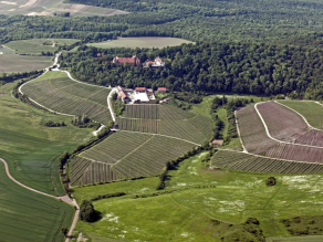 Luftbild: Weinberge am Schloss Frankenberg und der bewaldete Luisenberg im Hintergrund