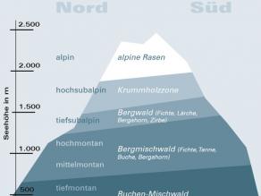 Schematische Darstellung eines Berges mit verschiedenen Höhenlagen. Vergleiche auch nachfolgende Textdatei.