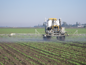 Schlepper mit Pflanzenschutzspritze bei der Arbeit auf einem Getreidefeld mit aufkeimendem Bewuchs soll als Beispiel für den Eintrag von Schadstoffen in den Boden dienen.