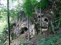 Zwei große Höhleneingänge im Laubwald