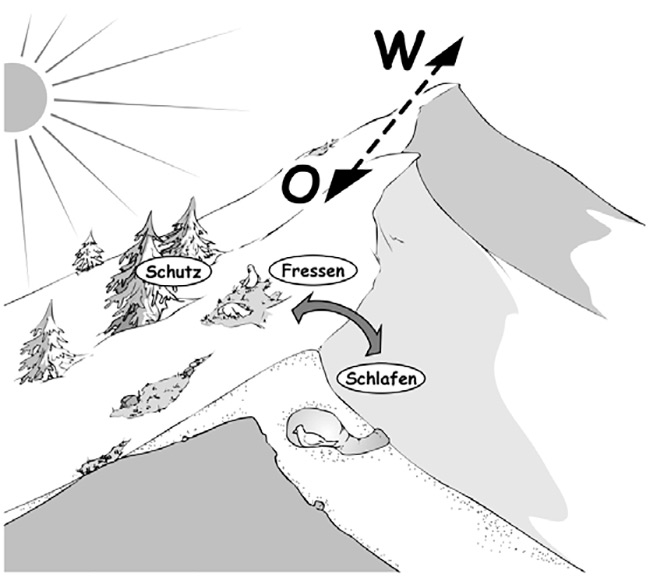 Schematische Darstellung der verschiedenen Lebensräume von Schnee- und Birkhuhn wie Fressplatz, Schlafplatz und ihre Situierung am Berg, die sie im Winter benötigen