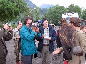 Zahlreiche Journalisten scharen sich um den genesenen Adler.