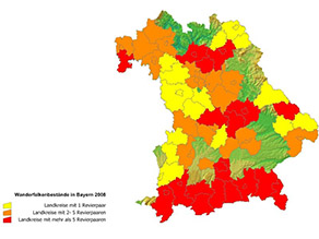Die Grafik besteht aus zwei Teilen. Die erste zeigt eine Bayernkarte in der die Landkreise markiert sind, in denen im Jahr 1982 Wanderfalkenbruten nachgewiesen wurden. Besiedelt waren die Alpenlandkreise mit je zwei bis 5 Revierpaaren und in Nordbayern der Landkreis Main-Spessart mit einem Brutpaar. Die zweite Grafik zeigt die Bayernkarte mit den nachgewiesenen Brutpaaren 2008: Der komplette Alpenraum weist jetzt je Landkreis mindestens 6 Brutpaare auf, das Gleiche gilt auch für die Landkreise München, Eichstätt, Kelheim, Regensburg, Regen, Bamberg, Forchheim, Bayreuth und Miltenberg. In siebzehn Landkreisen und neun kreisfreien Städten kommen 2 bis 5 Brutpaare vor. In fünfzehn Landkreisen und in drei kreisfreien Städten konnte ein Revierpaar nachgewiesen werden
