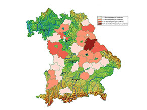 Die Grafik besteht aus zwei Teilen. Die erste zeigt eine Bayernkarte in der die Landkreise markiert sind, in denen im Jahr 1980 Weißstorchbrutpaare nachgewiesen wurden, die zweite Grafik zeigt die Bayernkarte mit den nachgewiesenen Brutpaaren 2008. Die Darstellung erfolgt in 4 Schritten; 1 bis 2 Brutpaare, 3 bis 5 Brutpaare, 6 bis 10 Brutpaare und über 10 Brutpaare pro Landkreis. 1980 wies nur der Landkreis Schwandorf mehr als 10 Brutpaare auf. In fünf Landkreisen (Tirschenreuth, Cham, Erlangen-Höchstadt, Weißenburg-Gunzenhausen und Ansbach) brüteten sechs bis 10 Storchenpaare, in neun Landkreisen 3 bis 5 und in 15 Landkreisen und kreisfreien Städten 1 bis 2 Paare. Insgesamt waren somit 1980 in 30 der 96 Landkreisen und kreisfreien Städten Storchenbruten nachgewiesen. 2008 brüteten in 50 Landkreisen und kreisfreien Städten wieder Weißstörche, in drei Landkreisen – Neustadt an der Aisch-Bad Windsheim, Ansbach und Günzburg – jeweils mehr als 10 Paare, in 11 Landkreisen 6 bis 10, in 9 Landkreisen 3 bis 5 und in 27 Landkreisen mindestens ein Paar.