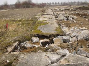 Aufgerissene und erhaltene Betonplattenreste des alten Flugfeldes mit alten und neu angelegten Magerrasen