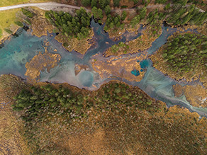 Eine Luftbildaufnahme einer Drohne mit Gewässer und Bäumen