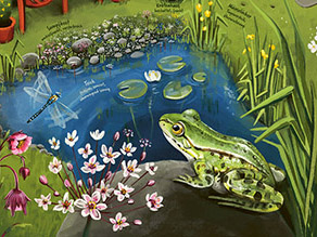 Illustration eines Frosches, der vor einem Teich auf einem Stein sitzt