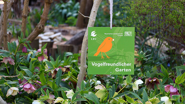 Auszeichnungsplakette Vogelfreundlicher Garten hängt von kleinem Baum im Garten herab.