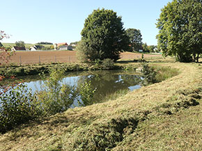 Links im Bild ein Teich, im Hintergrund Bäume und eine Siedlung mit Wohnhäusern