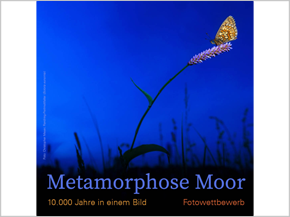 Orange-brauner Schmetterling auf einer Blume vor dunklem, blauem Hintergrund, darunter Text: Metamorphose Moor, 10.000 Jahre in einem Bild, Fotowettbewerb.