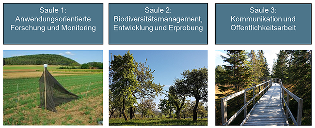 Visualisierung der drei Säulen: Forschung und Monitoring (1), Biodiversitätsmanagement, Entwicklung und Erprobung (2), Öffentlichkeitsarbeit (3).