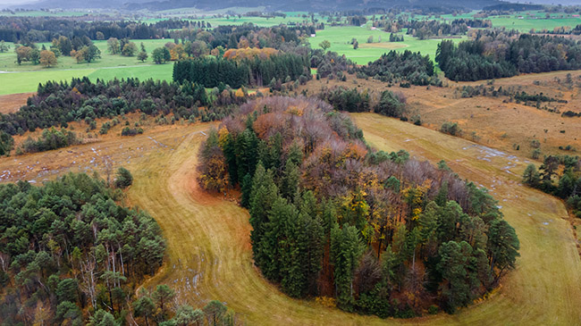 Herbstliche, gemähte, artenreiche Streuwiesen im Moorgebiet Straußenlacke im Landkreis Weilheim-Schongau, die ein kleines Waldgebiet einschließen.