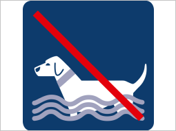 Hund im Wasser, durchgestrichen.
