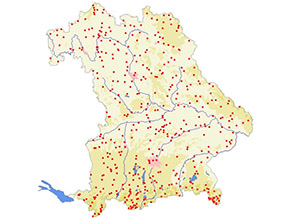 Bayernkarte in der die Verteilung der 449 Probeflächen in Bayern als Punktsignatur eingetragen ist. Die Probeflächen sind dabei gleichmäßig über Bayern verteilt.
