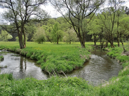 Naturnaher Fließgewässerabschnitt der Luhe bei Leuchtenberg