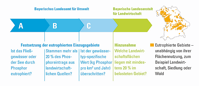 Pfeil von links nach rechts laufend. Er zeigt auf eine Miniaturkarte. Sie hat die Umrisse von Bayern. Die Lage der eutrophierten Gebiete ist gelb dargestellt. Der Pfeilarm ist in vier Abschnitte unterteilt, in den drei linken stehen von links nach rechts die A, B und C. Die drei linken Abschnitte sind blau, über ihnen steht Bayerisches Landesamt für Umwelt. Der vierte Abschnitt ist grün, über ihm steht Bayerische Landesanstalt für Landwirtschaft. Unter dem Abschnitt A bis C steht Festsetzung der eutrophierten Gebiete, unter A zusätzlich Ist das Fließgewässer oder der See mit Phosphor eutrophiert?, unter B Stammen mehr als 20 % des Phosphoreintrags aus landwirtschaftlichen Quellen? unter C Ist der gewässertyp-spezifische Wert (kg Phosphor pro Quadratkilometer und Jahr überschritten?. Unter dem grünen Abschnitt steht Hinzunahme: Welche Landwirtschaftsflächen liegen mit mindestens 20 % im belasteten Gebiet?