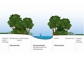 Skizze eines naturnahen Gewässers mit breiten Uferstreifen und daran anschließender landwirtschaftlicher Nutzung.