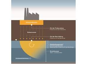 Schematische Darstellung des Untergrunds unter einer Altlast bzw. schädlichen Bodenveränderung. An den Bereich der Schadstoffquelle mit Ort der Probenahme schließt sich nach unten die Sickerstrecke durch die ungesättigte Bodenzone an. Der Ort der Beurteilung befindet sich am Übergangsbereich zur gesättigten Zone. Zur Bewertung der am Ort der Probenahme gemessenen Schadstoffkonzentrationen werden die Prüfwerte am Ort der Probenahme herangezogen, am Ort der Beurteilung die Prüfwerte am Ort der Beurteilung. Im Grundwasser ist schematisch eine Schadstofffahne abgebildet. Schadstoffkonzentrationen im Grundwasser werden anhand der Stufe-1- und Stufe-2-Werte bewertet. Der oberste Meter des Grundwassers stellt die Einmischungszone dar, für die eine Einmischungskonzentration berechnet werden kann. Die Bewertung der Einmischungskonzentration erfolgt anhand der Prüfwerte am Ort der Beurteilung.