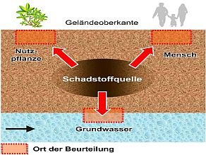 Orte der Beurteilung für die verschiedenen Wirkungspfade 