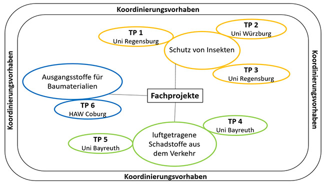 Schematische Darstellung des Projektverbundes. Umrahmt wird dieser vom Koordinierungsprojekt. Die Fachprojekte werden in drei Schwerpunkte unterteilt. Die zugehörigen Teilprojekte sind einem Schwerpunkt zugeordnet.
Die Teilprojekte 1, 2 und 3 gehören dem Schwerpunkt Schutz von Insekten an. Die Teilprojekte 4 und 5 werden dem zweiten Schwerpunkt luftgetragenen Schadstoffe aus dem Verkehr zugeteilt und das Teilprojekt 6 beschäftigt sich mit Ausgangsstoffen für Baumaterialien.