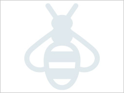 Piktogramm Biene Piktogramm Biene