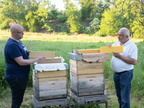 In der Mitte zwei Bienenstöcke, links und rechts davon steht jeweils ein Mann, der eine Bienenwachsplatte hält. In der Mitte zwei Bienenstöcke, links und rechts davon steht jeweils ein Mann, der eine Bienenwachsplatte hält.