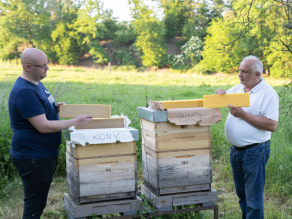 In der Mitte zwei Bienenstöcke, links und rechts davon steht jeweils ein Mann, der eine Bienenwachsplatte hält.