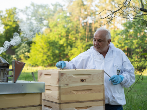 Ein Mann in weißem Hemd steht neben einem geöffneten Bienenstock und zeigt mit dem Finger auf die Beute. Links im Bild: ein rauchender Smoker.