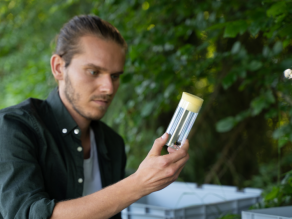 Ein junger Mann hält einen Glaszylinder, der mit einem Schaumstoff verschlossen ist. Darin befindet sich eine Hummel.