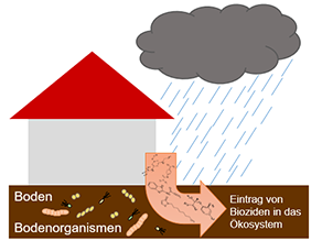 Schematische Darstellung zur Auswaschung von Bioziden aus einer Hausfassade durch Schlagregen und Eintrag in den Boden