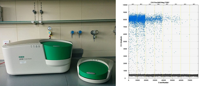 Analysengeräte (links) und Verteilung positiver und negativer Droplets (rechts) als Punktewolke auf einem Ausdruck