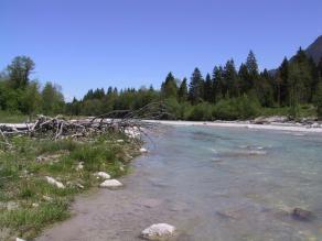 Ein voralpiner Fluss mit klarem, bläulich schimmerndem Wasser