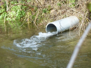 Ein Abwasserrohr ragt vom Ufer in ein Gewässer.