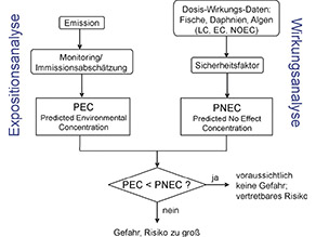 Risikoanalyse für die aquatische Lebensgemeinschaft in einem Oberflächengewässer