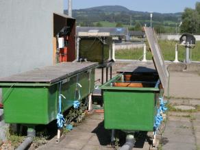 Oben offene Rinnen, die mit einem Deckel verschlossen werden können. Abwasser aus einer Kläranlage wird im Bypass durch die Rinnen gepumpt, sodass die darin gehaltenen Fische dem Abwasser ausgesetzt werden.