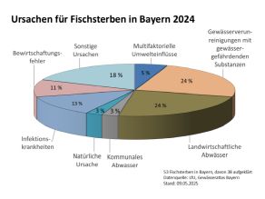 Vom LfU untersuchte Ursachen von Fischsterben - Kuchendiagramm: Landwirtschaftliches Abwasser 24 %, Kommunales Abwasser 3 %, Natürliche Ursache 3 %, Infektionskrankheiten 13 %, Bewirtschaftungsfehler 11 %, Sonstige Ursachen 18 %, Multifunktionale Umwelteinflüsse 5 %, Gewässerverunreinigungen mit gewässergefährdenden Substanzen 24 %.