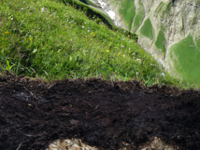 Ein Tal zieht sich vom Gipfel eines Berges bis zu einem Bodenaufschluss, wodurch man bei Bildvergrößerung den humosen Oberboden und darunter Felsen erkennen kann.