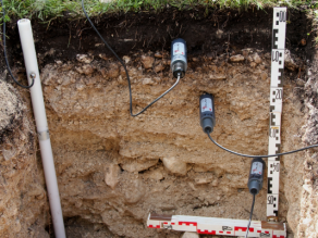 Blick in eine Profilgrube mit eingebauten Messsonden