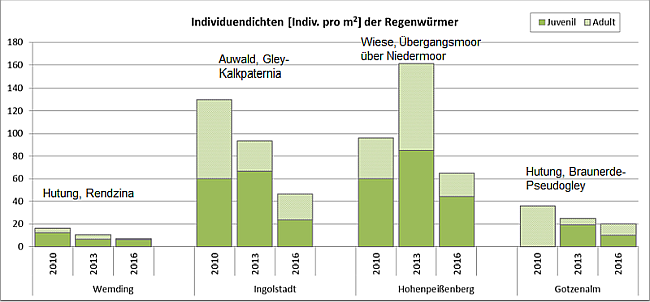 Erläuterung in nachfolgender Textdatei