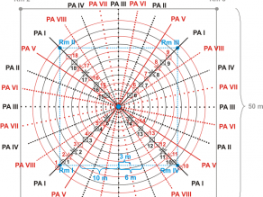 Darstellung Probenahme-Schema für Bodendauerbeobachtungsflächen. Über die quadratische Fläche werden acht Achsenpaare gelegt, die jeweils den Flächenmittelpunkt schneiden. Die Probenahme-Punkte liegen auf den Achsen in definierten Radien vom Mittelpunkt entfernt.