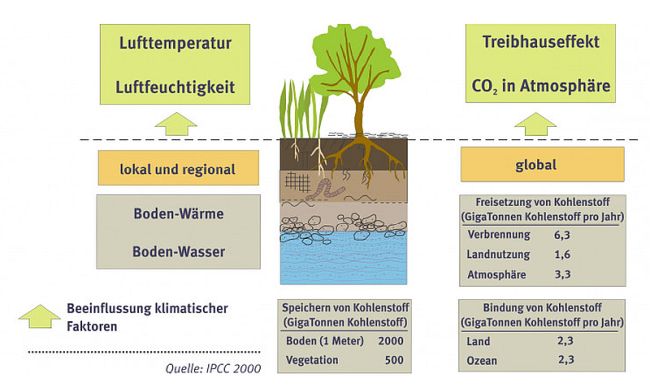 Erläuterung in der nachfolgenden Textdatei. Erläuterung in der nachfolgenden Textdatei.