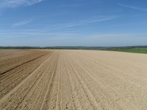 Ackerbrache nach der Ernte. Die Fläche wurde bereits für eine neue Aussaat vorbereitet.