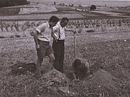 Schwarz-Weiß-Foto: Bodenkartierung der 1950er Jahre in Bayern - drei Mitarbeiter nehmen ein Bodenprofil neben einem Getreideacker auf.