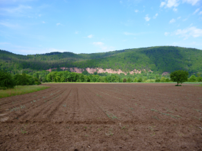 Äcker am Main und forstwirtschaftliche Nutzung auf den Hängen bei Reistenhausen mit einem aufgelassenen Sandstein-Steinbruch im Hintergrund (Spessart).