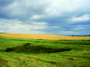 Schwach hügelige Gäulandschaft mit großen, landwirtschaftlich genutzten Flächen und einer Doline bei Bettenfeld