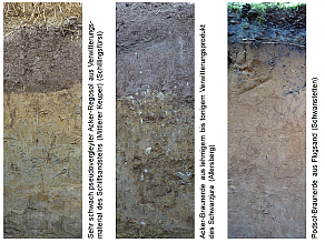 Drei Beispiele für Böden im Fränkischen und Schwäbischen Keuper-Lias-Land: Sehr schwach pseudovergleyter Acker-Regosol aus Verwitterungsmaterial des Schilfsandsteins (Mittlerer Keuper) (Schillingsfürst), Acker-Braunerde aus lehmigem bis tonigem Verwitterungsprodukt des Schwarzjura (Allersberg) und Podsol-Braunerde aus Flugsand (Schwanstetten).