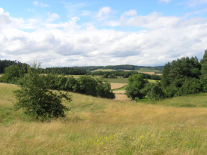 Hochgewachsenes Extensivgrünland und strukturreiche, hügelige Wald-Offenlandschaft mit landwirtschaftlich genutzten Flächen im Steigerwald.