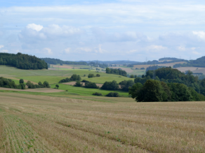 Hecken und Baumgruppen zwischen landwirtschaftlich genutzten Flächen im südlichen Frankenwald.